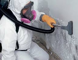 Reliable Vinton, LA Mold Removal Services Solutions